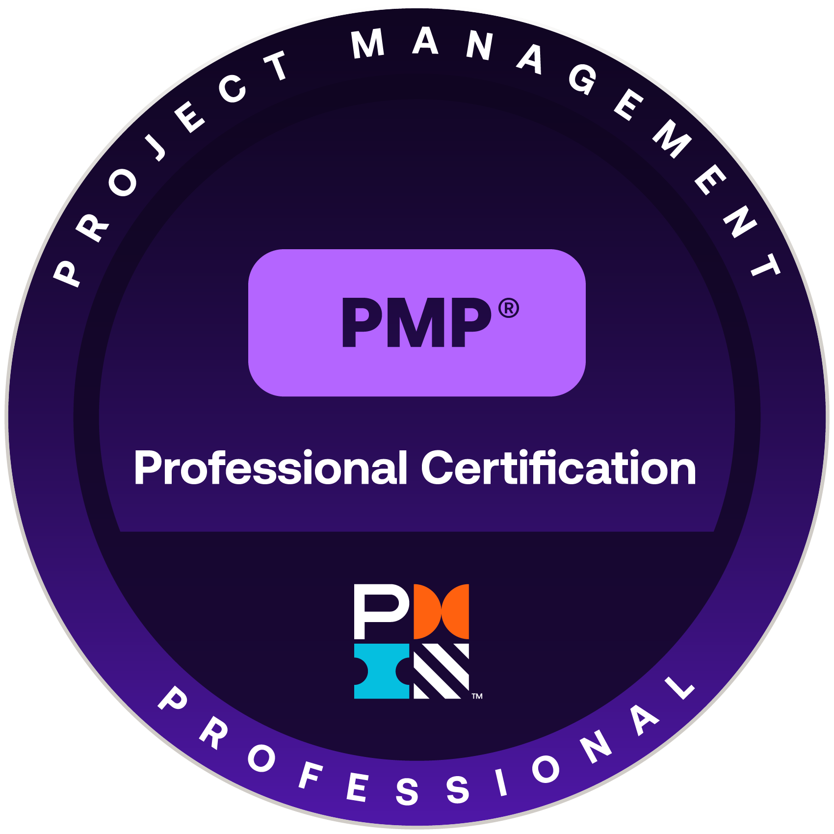PMP Professional Certification